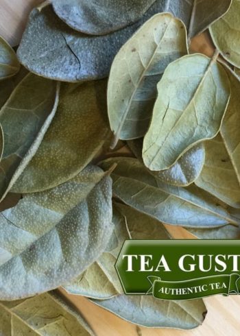 Boldo_hojas_infusión